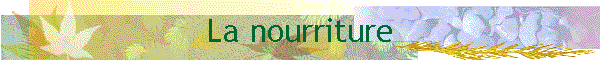 La nourriture