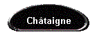 Chtaigne